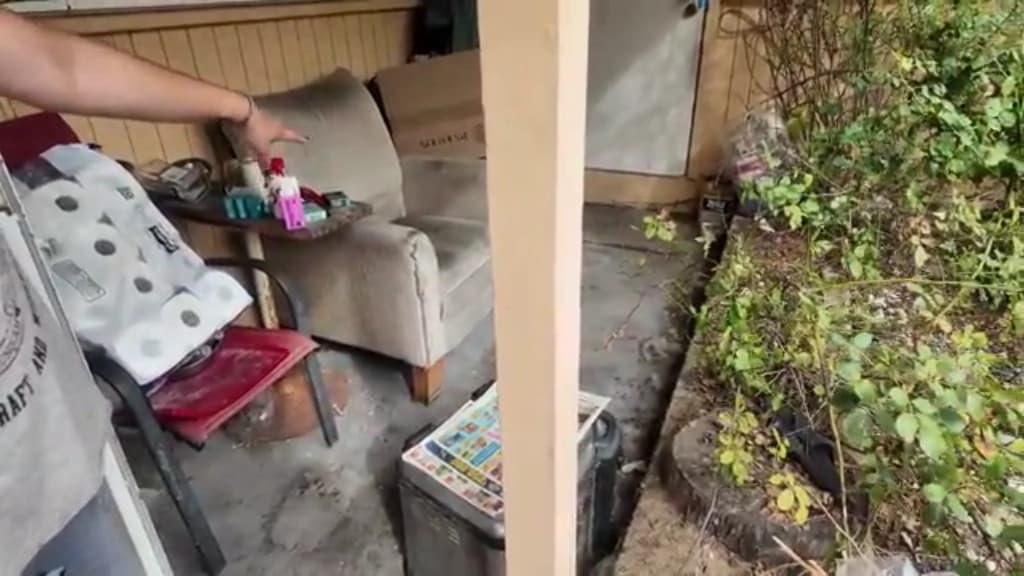 Furniture and household items stacked on a covered side patio with overgrown vegetation crowding the slab