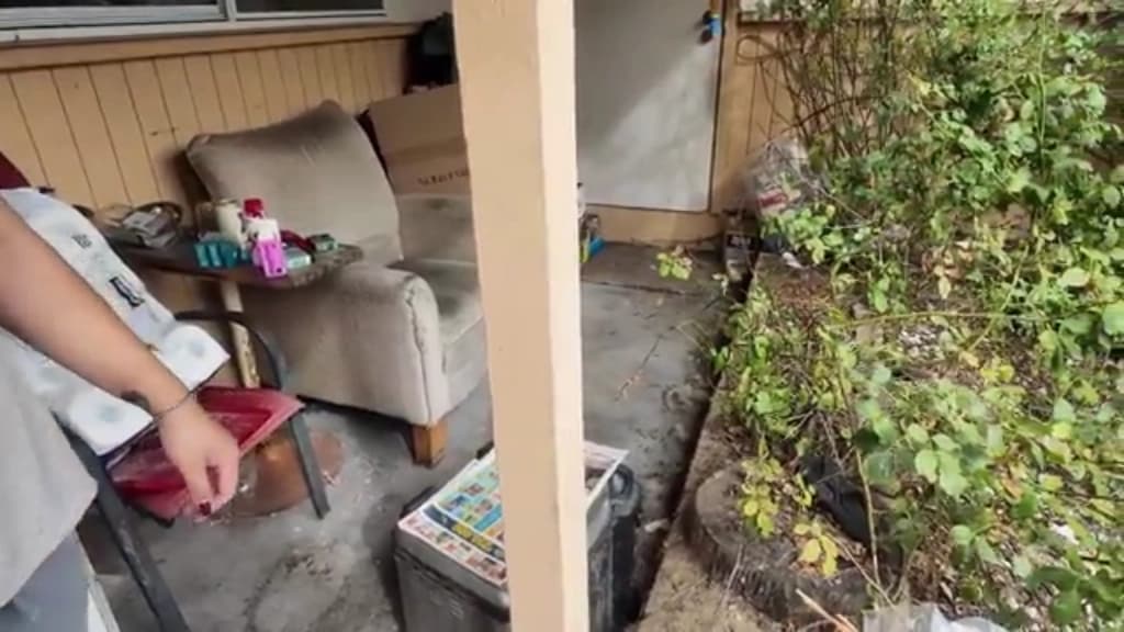 Overgrown brush and stored clutter along the side of a property, cleared as part of a yard job
